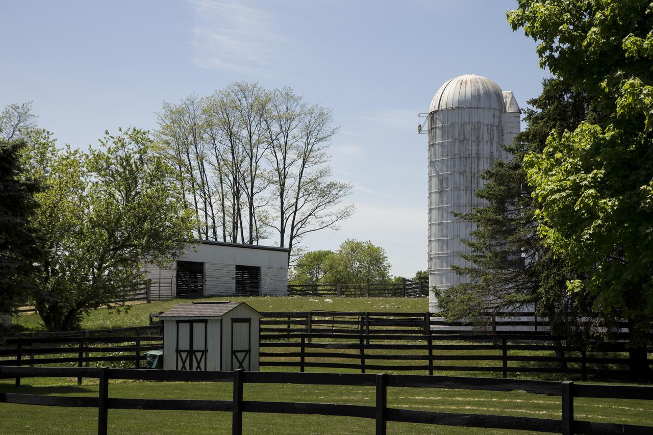 Pheasant Field Bed And Breakfast Carlisle Bagian luar foto